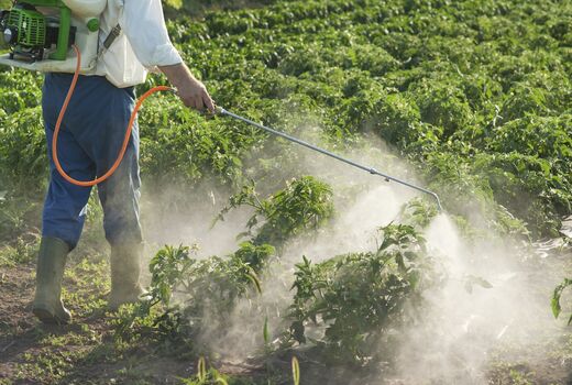 طرح نظارت بر فروشگاه‌های سموم دفع آفات نباتی اجرا می‌شود