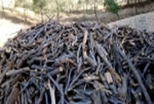 کشف 70 تُن چوب و ذغال قاچاق در چهارمحال و بختیاری