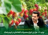 تولید ۱۴ هزار تن انواع محصولات گلخانه‌ای در کبودراهنگ 