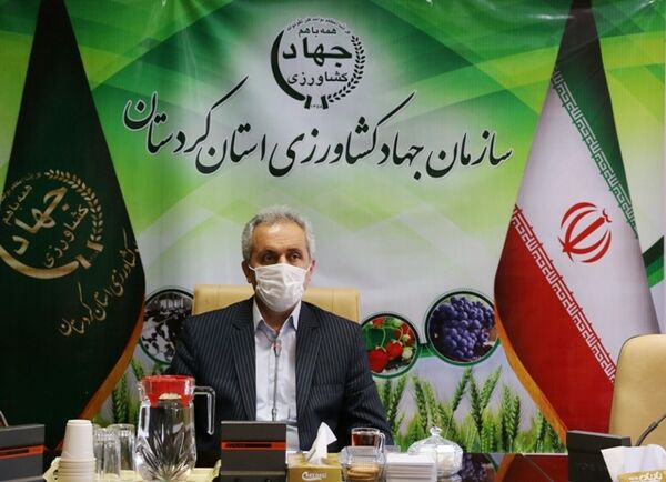 بیش از ۱۷ هزار میلیارد ریال در بخش کشاورزی کردستان سرمایه‌گذاری می‌شود
