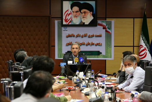 برنامه‌ریزی برای افزایش تولید گوشت و کاهش وابستگی به واردات نهاده‌های دامی