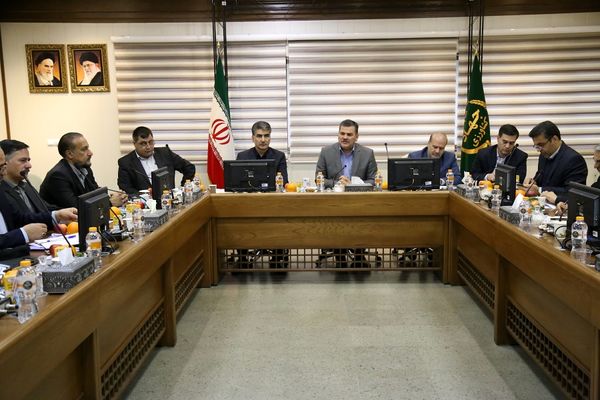 تشکل‌ها در برنامه‌ریزی‌ها و اجرای تصمیمات حوزه تولیدات دامی مشارکت کنند