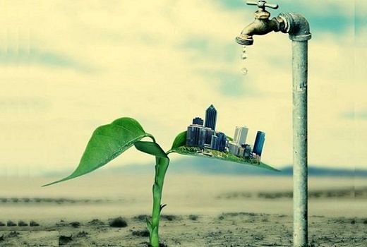 آب و امنیت غذایی؛ شکاف میان سیاست‌های اجرایی و سند ملی دانش‌بنیان