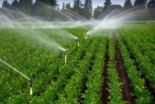 27 هزار هکتار شبکه آبیاری تحت فشار در آذربایجان غربی آماده بهره‌برداری است