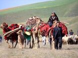 سال ۲۰۲۶ سال بین‌المللی مرتع و عشایر / تدوین برنامه ملی برای بهره‌برداری از فرصت جهانی ضروری است