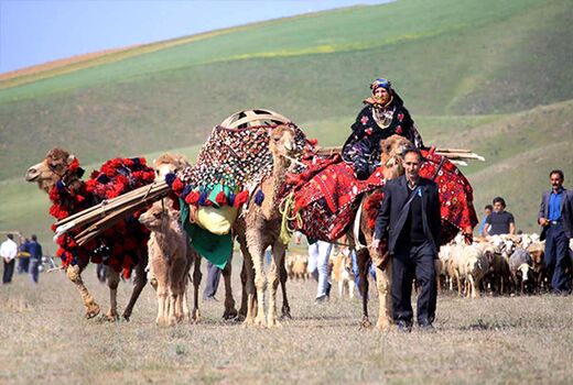 سال ۲۰۲۶ سال بین‌المللی مرتع و عشایر / تدوین برنامه ملی برای بهره‌برداری از فرصت جهانی ضروری است