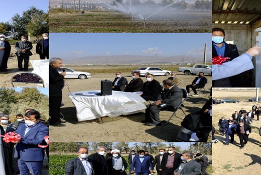 بهره برداری از سیستم آبیاری کلاسیک در ایستگاه تحقیقاتی مهندس مطهری کرج