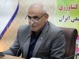 هویت‌بخشی به تولید ملی؛ نقش‌آفرینی اتاق اصناف در نظام نوین امنیت غذایی