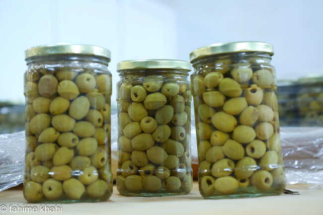 از لمس شاخه تا عصاره ی نور  