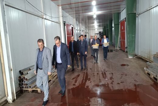 بازدید از سردخانه‌های اهر برای تامین سیب شب عید