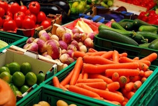 اجرای 5 پروژه دانش‌بنیان برای افزایش کیفیت محصولات کشاورزی 