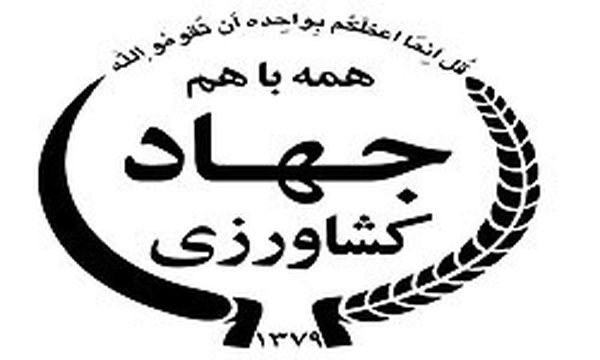 بررسی مشکلات فعالان بخش کشاورزی استان در میز خدمت جهاد کشاورزی قزوین