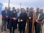 ۵۱ پروژه کشاورزی در قزوین با حضور رئیس سازمان حفظ نباتات افتتاح شد