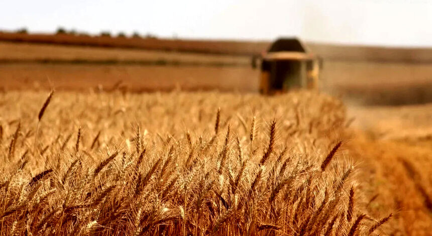 جاده‌ای میان نان و تاریخ