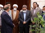  افتتاح اولین گلخانه هیدروپونیک تولید صیفی جات در شهرستان ازنا