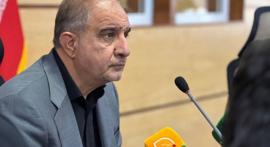 رویکردهای حفظ نباتات از «درمان‌محوری» به «پیشگیری‌محوری» تغییر کند / ضرورت جذب گیاه‌پزشکان نخبه