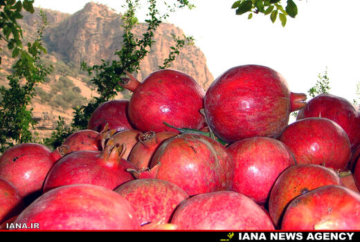 انارستان 