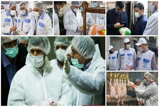 بیش از ۱۷۰هزار بازدید طی یک ماه اجرای طرح تشدید نظارت بهداشتی