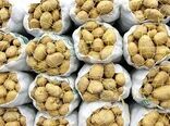 بازار سیب‌زمینی در مسیر آرامش؛ ورود محصول بهاره پس از التهابی چندماهه