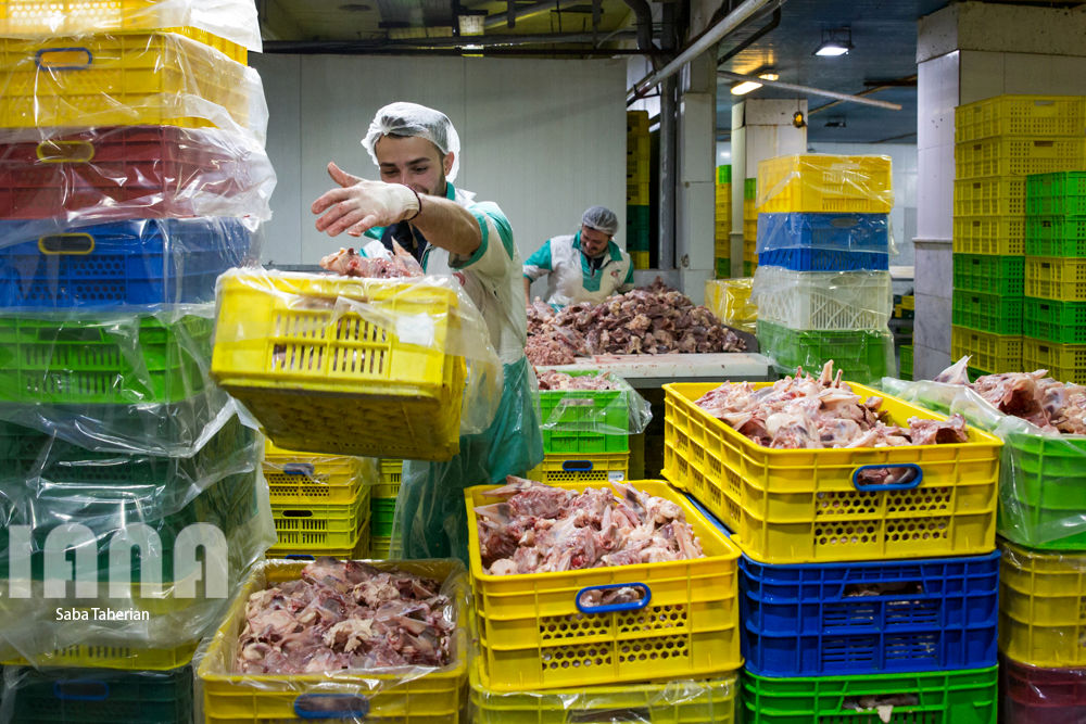 بسته‌بندی محصولات پروتئینی