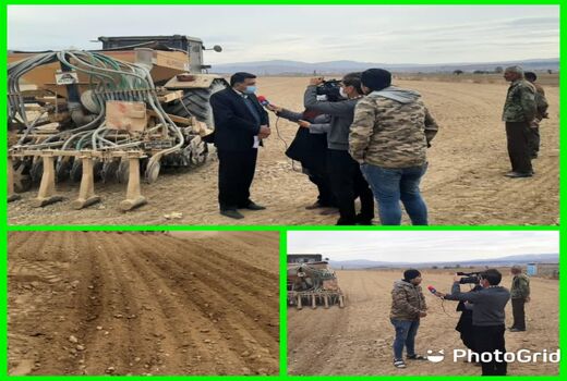 شروع کاشت پیاز خوراکی در شهرستان مانه وسملقان