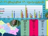 پایان عملیات مبارزه شیمیایی با آفت سن غلات  در لرستان