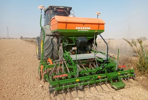 کاشت سیاه دانه برای اولین بار در خنج 