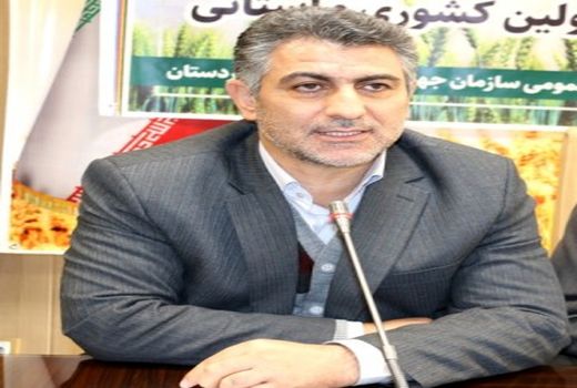 چهار میلیون و ۵۰۰ هزار تولیدکننده در بخش کشاورزی کشور فعالیت دارند