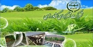 فرآخوان عمومی 6-98 دعوت از متقاضیان سرمایه گذاری در مجتمع شهرک های کشاورزی گلخانه ای آذربایجان غربی 