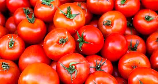 گوجه کاران سطوح ابلاغی کشت را رعایت کنند