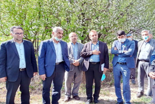 نقش ارقام اصلاح شده محصولات در افزایش تولید محصولات کشاورزی