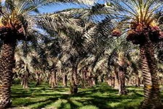 برگزاری دوره آموزشی