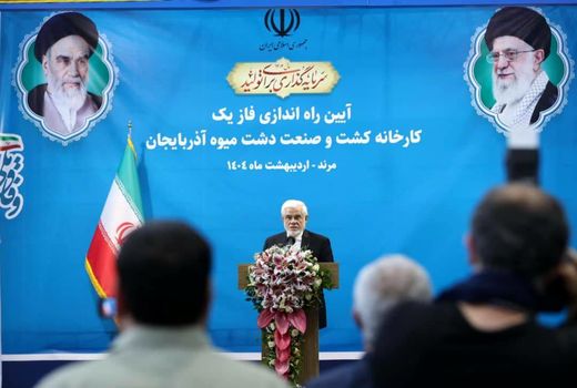 کشاورزی راهبردی‌ترین حوزه برای خودکفایی و امنیت غذایی کشور است