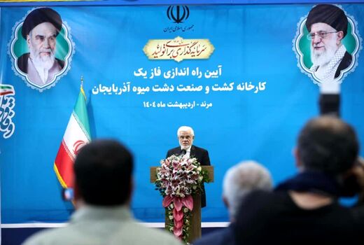 کشاورزی راهبردی‌ترین حوزه برای خودکفایی و امنیت غذایی کشور است