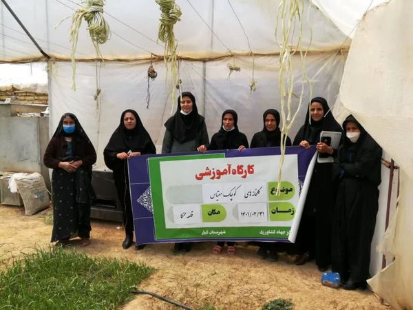برگزاری کارگاه آموزشی گلخانه کوچک مقیاس ویژه بانوان در روستای قلعه ممکا