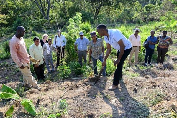 فائو کشورهای دچار تنش آبی را معرفی کرد/ جوامع روستایی با کاهش حجم شبکه های آب آشامیدنی آسیب پذیر تر شده اند