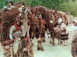 90 هزار نفر از عشایر داوطلب اسکان یافته اند