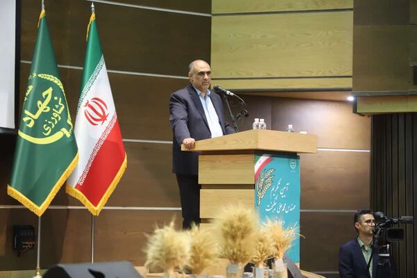 نوسان تولید و بازار محصولات کشاورزی به کمترین حد ممکن رسیده‌ است