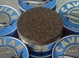 آغاز دوباره صادرات خاویار پرورشی ایران به اتحادیه اروپا