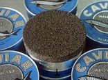 آغاز دوباره صادرات خاویار پرورشی ایران به اتحادیه اروپا
