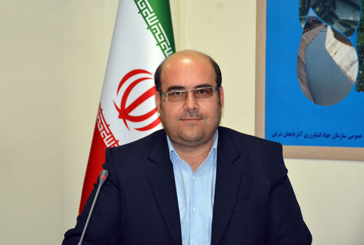 با کشت قراردادی  دست دلالان از بازار محصولات کشاورزی قطع می شود