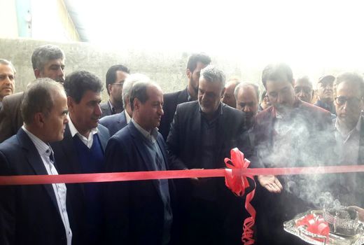 کارخانه تصفیه و بسته بندی کشمش در ملایر افتتاح شد