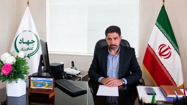 آباده؛ پیشتاز تولید گوشت شترمرغ در استان فارس