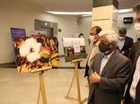برگزاری نمایشگاه عکس و رونمایی از تمبر یادبود روز جهانی پنبه