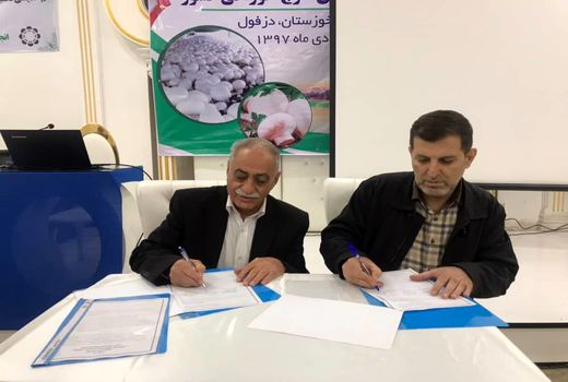 کاهش ضایعات، مطالعه بازار و بسته‌بندی صادراتی در دستور کار قرار گرفت