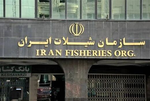 لزوم بازنگری در دریافت هزینه صدور گواهی حمل بچه‌میگو
