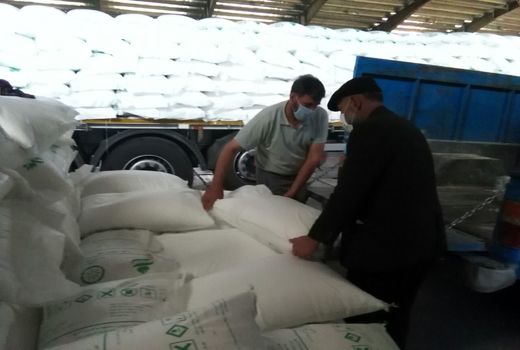 توزیع  885 تن انواع کودهای شیمیایی طی خردادماه در استان البرز