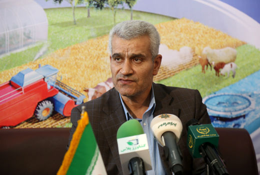 تخصیص ۹۱ هزار و ۵۰۰ میلیارد ریال تسهیلات به بخش دام و طیور 