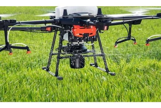 4000 هکتار شالیزار فریدون‌کنار با پهپاد سمپاشی شد