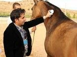 ضرورت نظارت بر تردد اسب در بین استان‌ها
